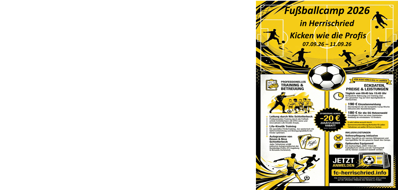 Kicken wie dir Profis